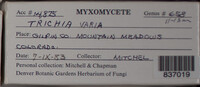 Image Associated With the Occurence
